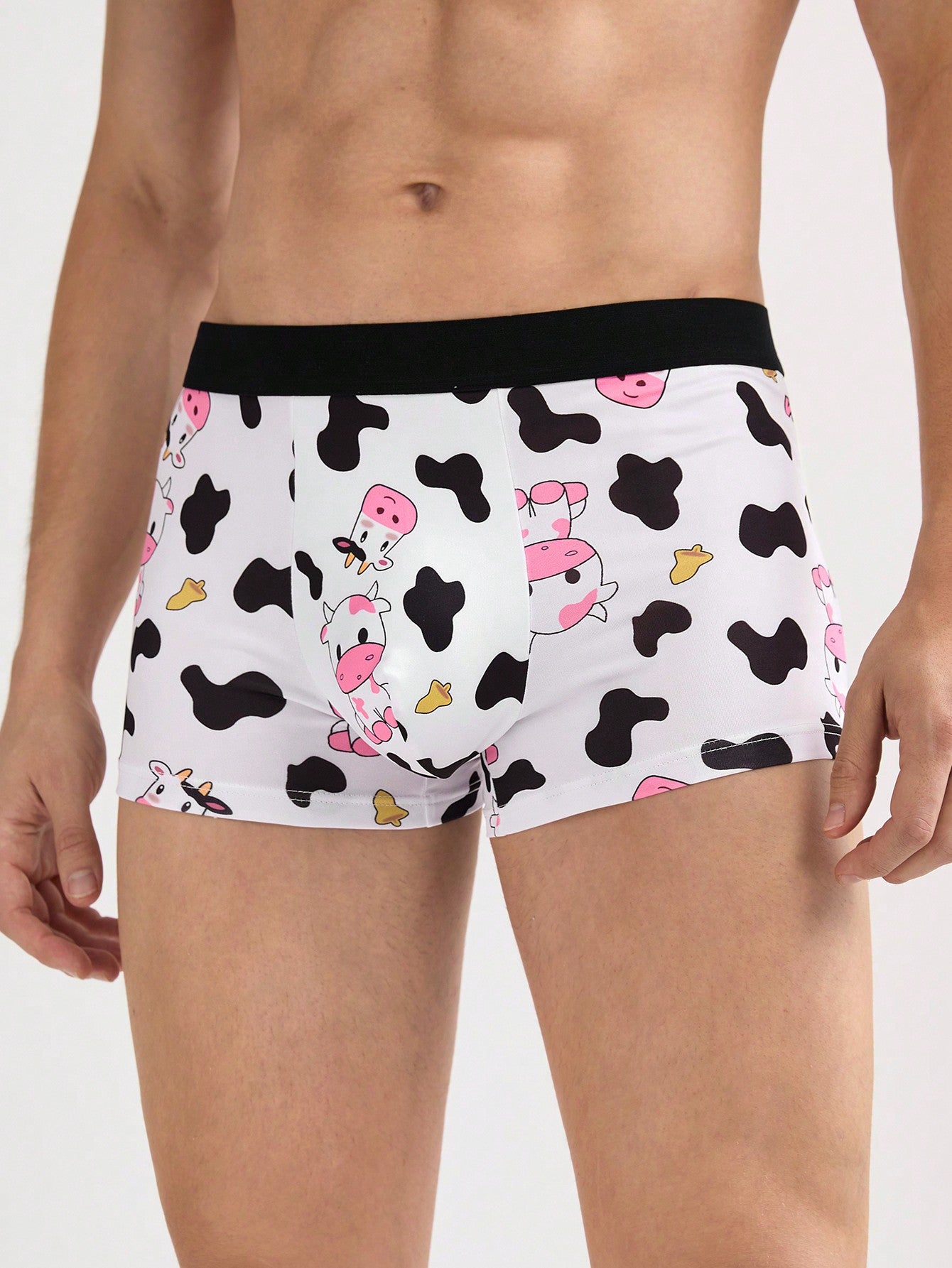 Men's Cartoon Print Boxer Briefs