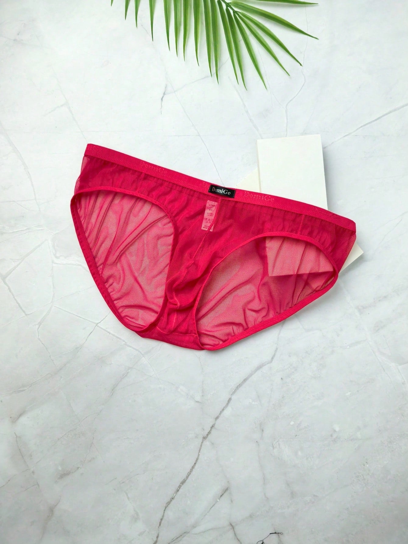 Sheer Mesh Low Waist Full Coverage Briefs For Men