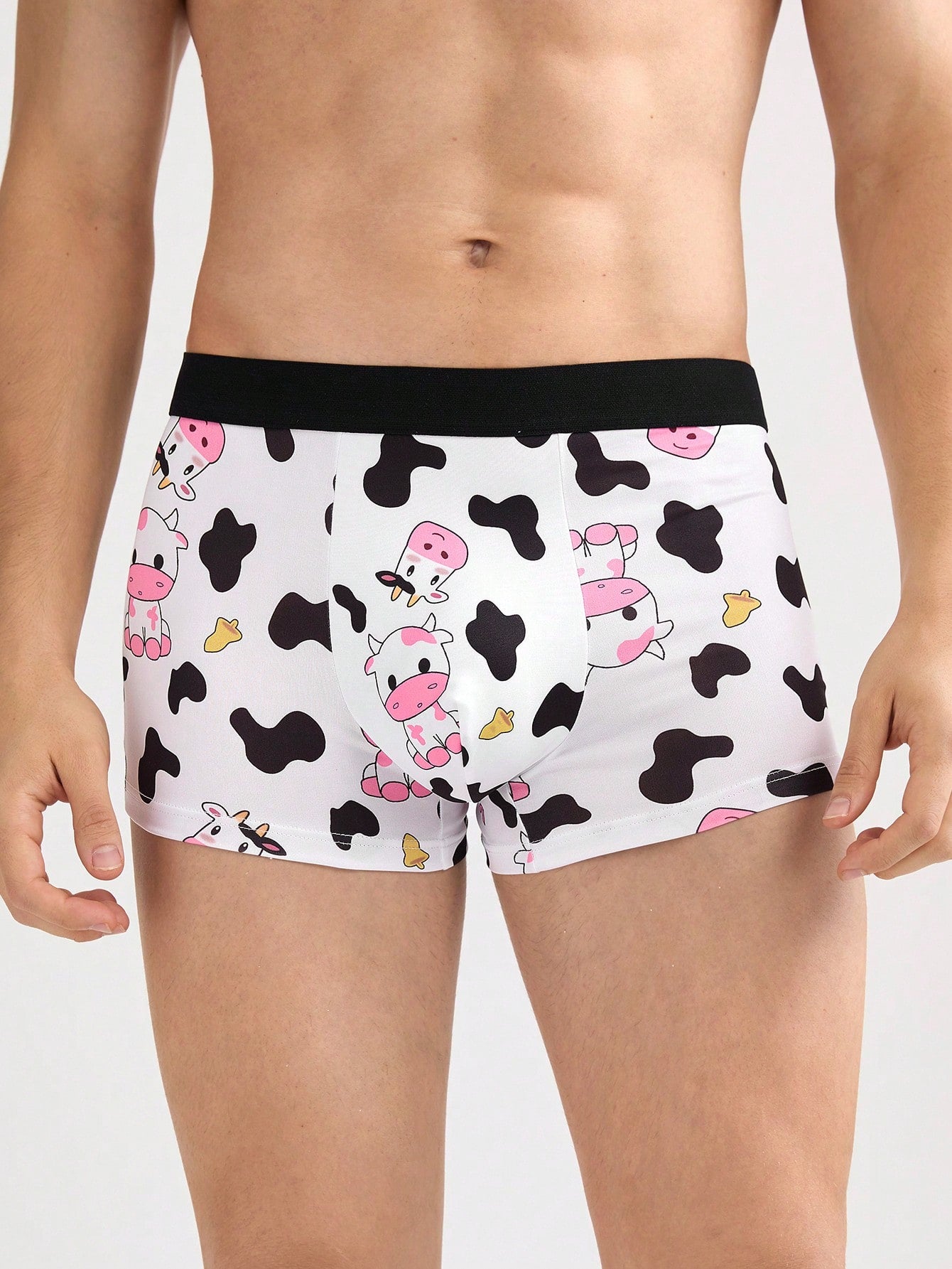Men's Cartoon Print Boxer Briefs
