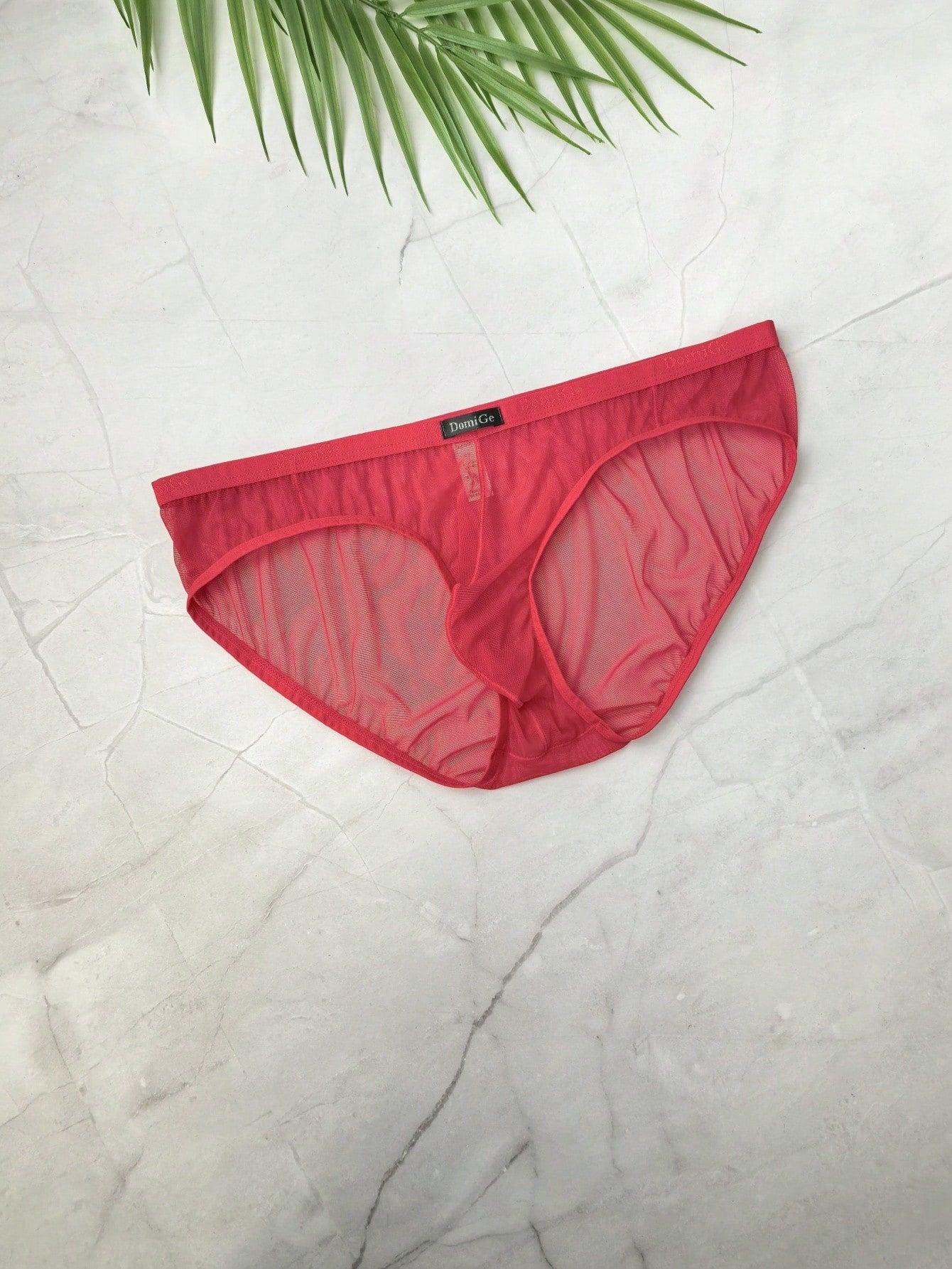 Sheer Mesh Low Waist Full Coverage Briefs For Men