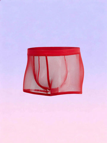 Mesh Sheer Solid Color Briefs For Men