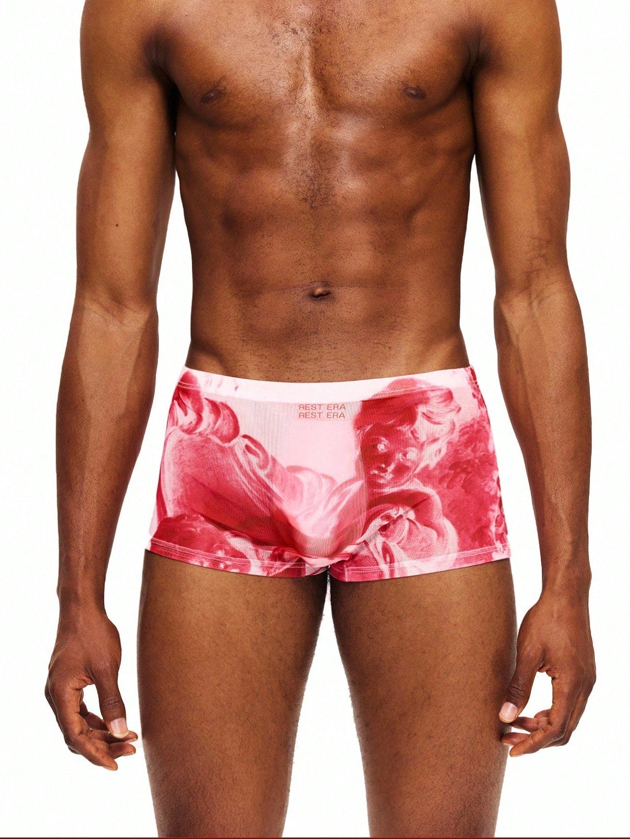 1pc Men's Mesh Printed Briefs