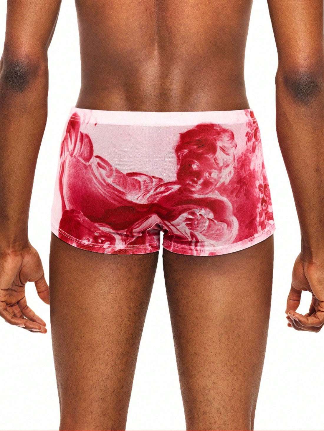 1pc Men's Mesh Printed Briefs