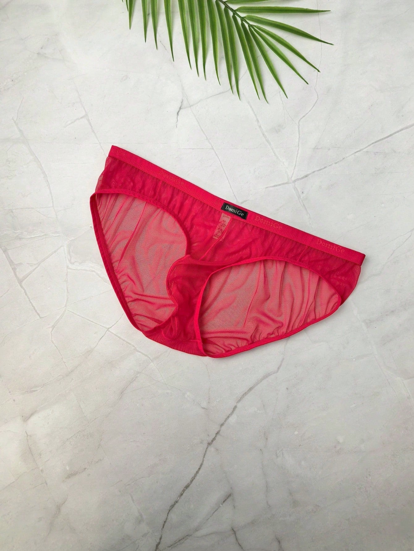 Sheer Mesh Low Waist Full Coverage Briefs For Men