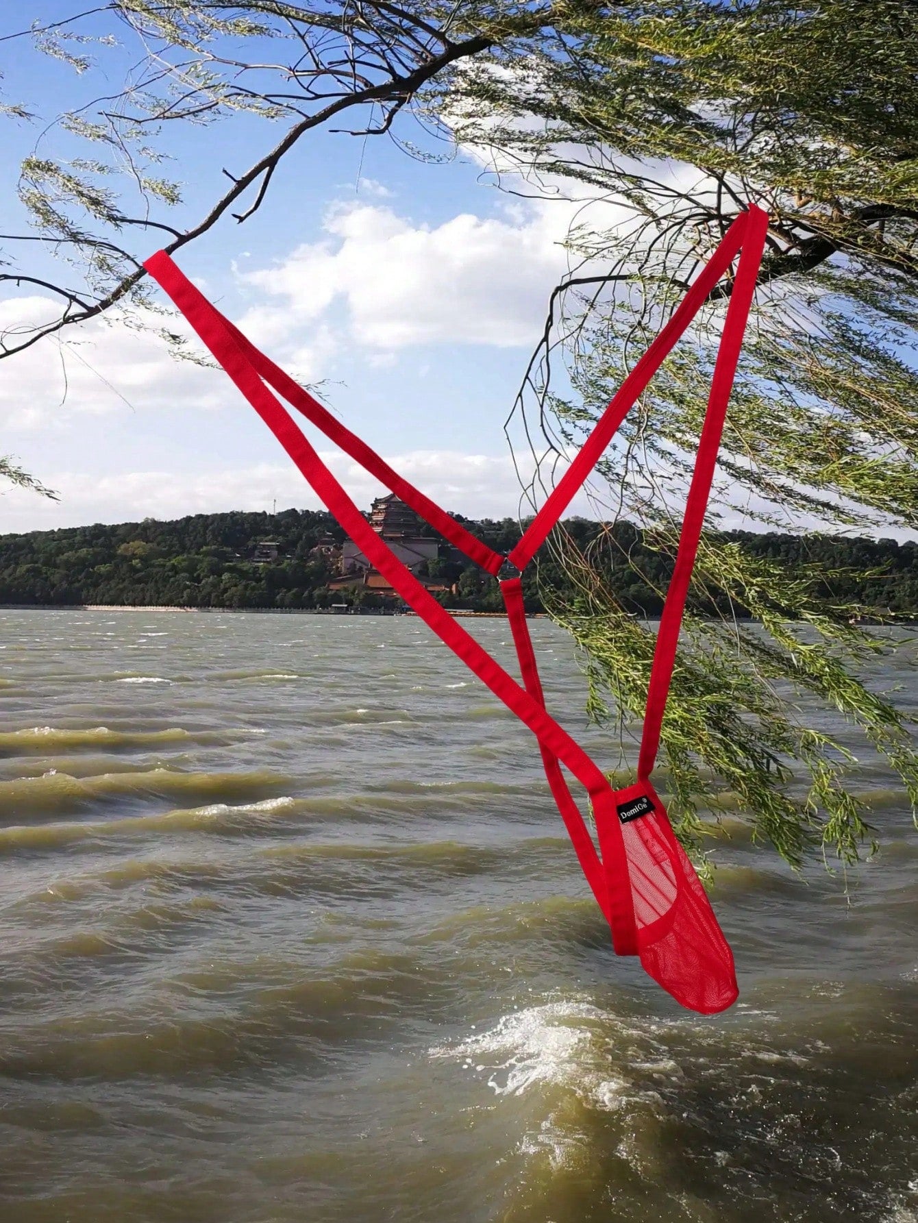 1pc Men's Red Mesh Spaghetti Strap G-String Underwear