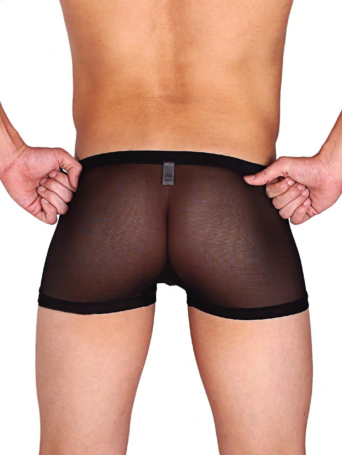 Transparent Elastic Mesh Sexy Underwear For Men